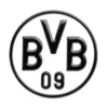 Auto-Aufkleber BVB schwarz