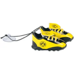 Autoschuhe BVB