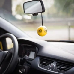 Autospiegelball BVB