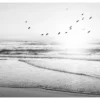 Bild BEACH SERENITY