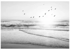 Bild BEACH SERENITY