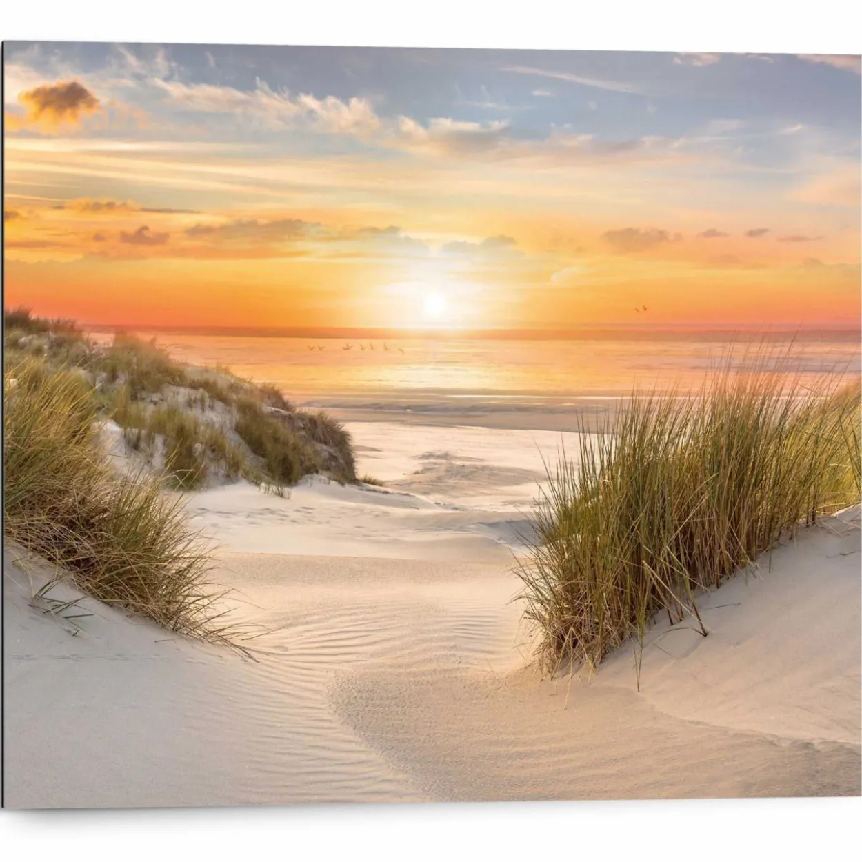 Bild BEAUTIFUL DUNES