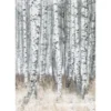 Bild BIRCH TREES