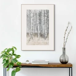 Bild BIRCH TREES