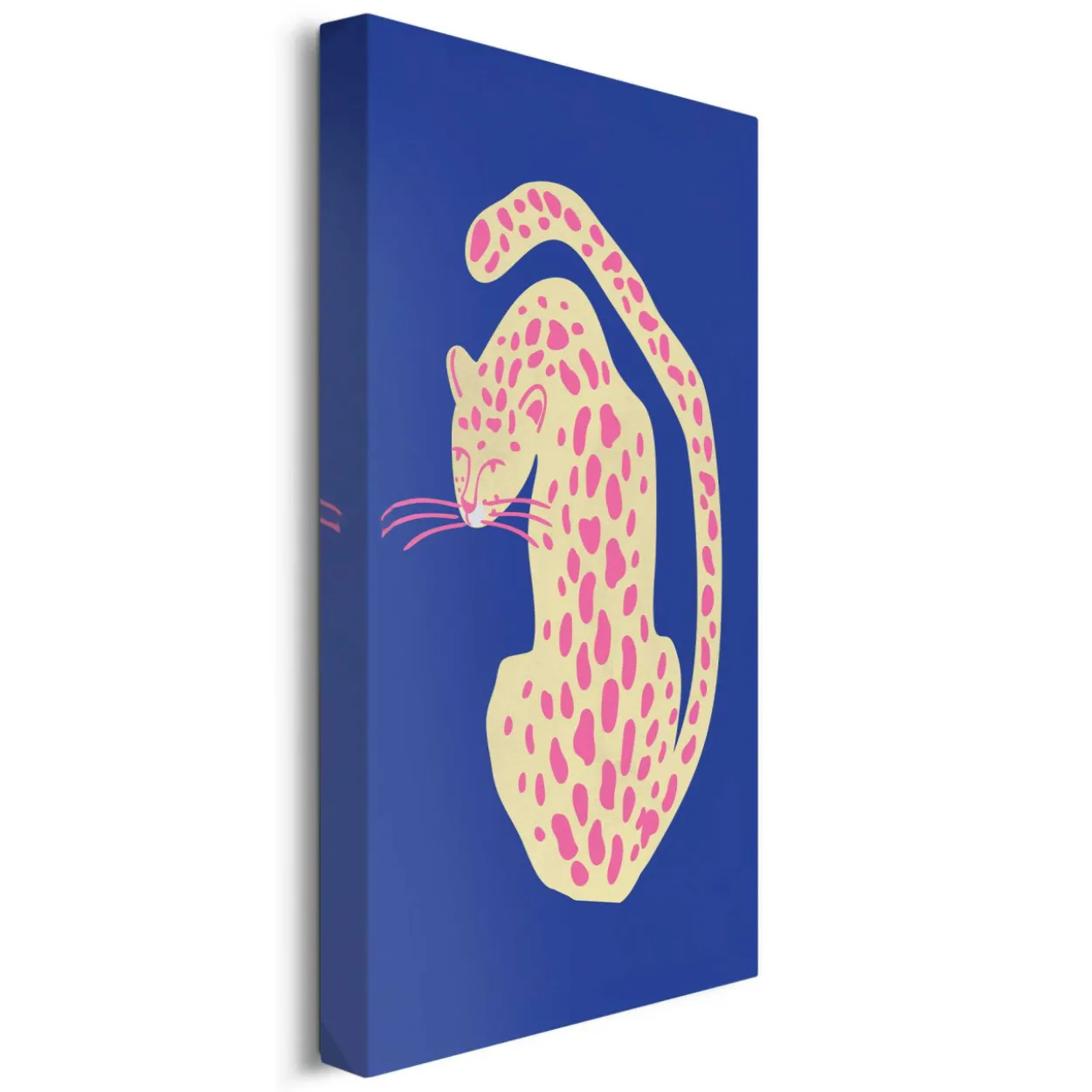 Bild BLUE PINK CAT