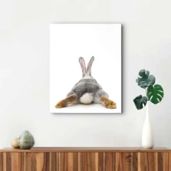 Bild BUNNIES BACK