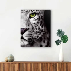 Bild CATS EYE