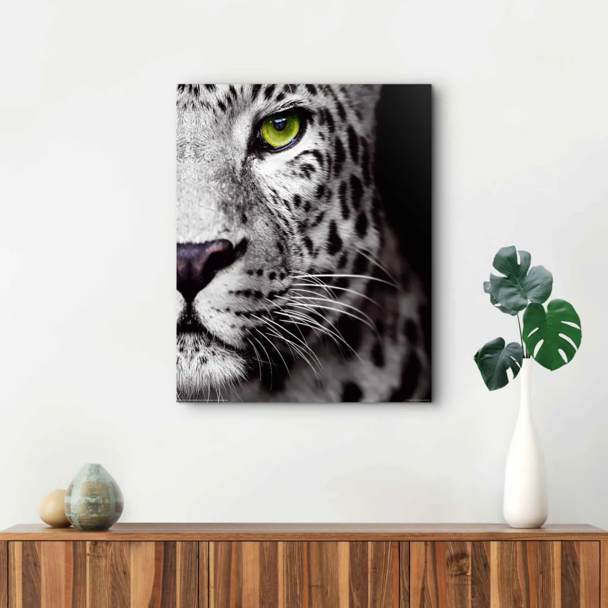 Bild CATS EYE