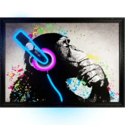 Bild CHIMP STEREO