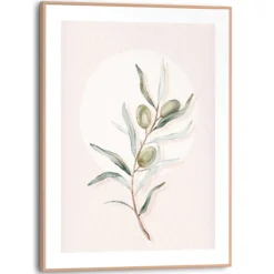 Bild CIRCLE OLIVES