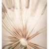 Bild DANDELION HEART