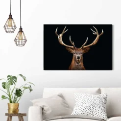 Bild DEER PORTRAIT