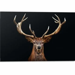Bild DEER PORTRAIT