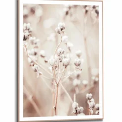 Bild DRIED WHITES
