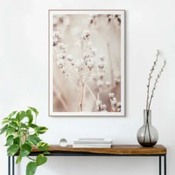 Bild DRIED WHITES