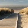 Bild DUNES