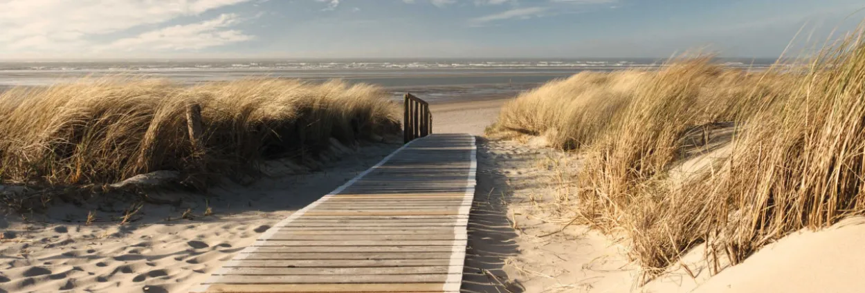 Bild DUNES