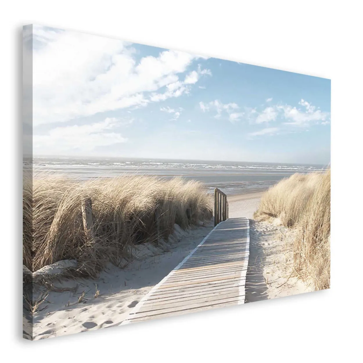 Bild DUNES