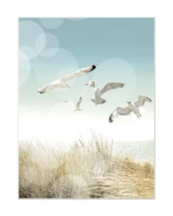 Bilderhalter CLIP 40x50 cm
