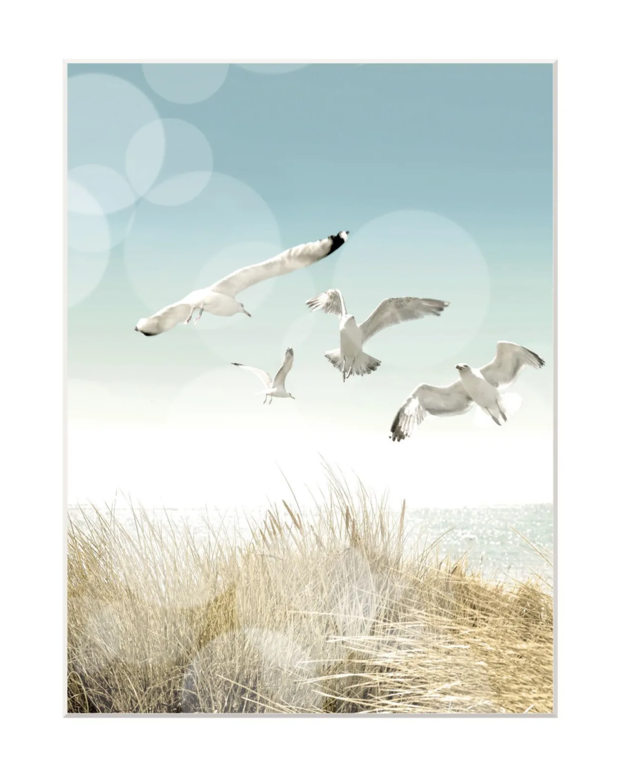 Bilderhalter CLIP 40x50 cm