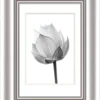 Bilderrahmen ELEGANCE silber