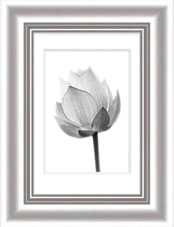 Bilderrahmen ELEGANCE silber