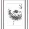 Bilderrahmen ELEGANCE silber