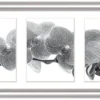 Bilderrahmen ELEGANCE silber