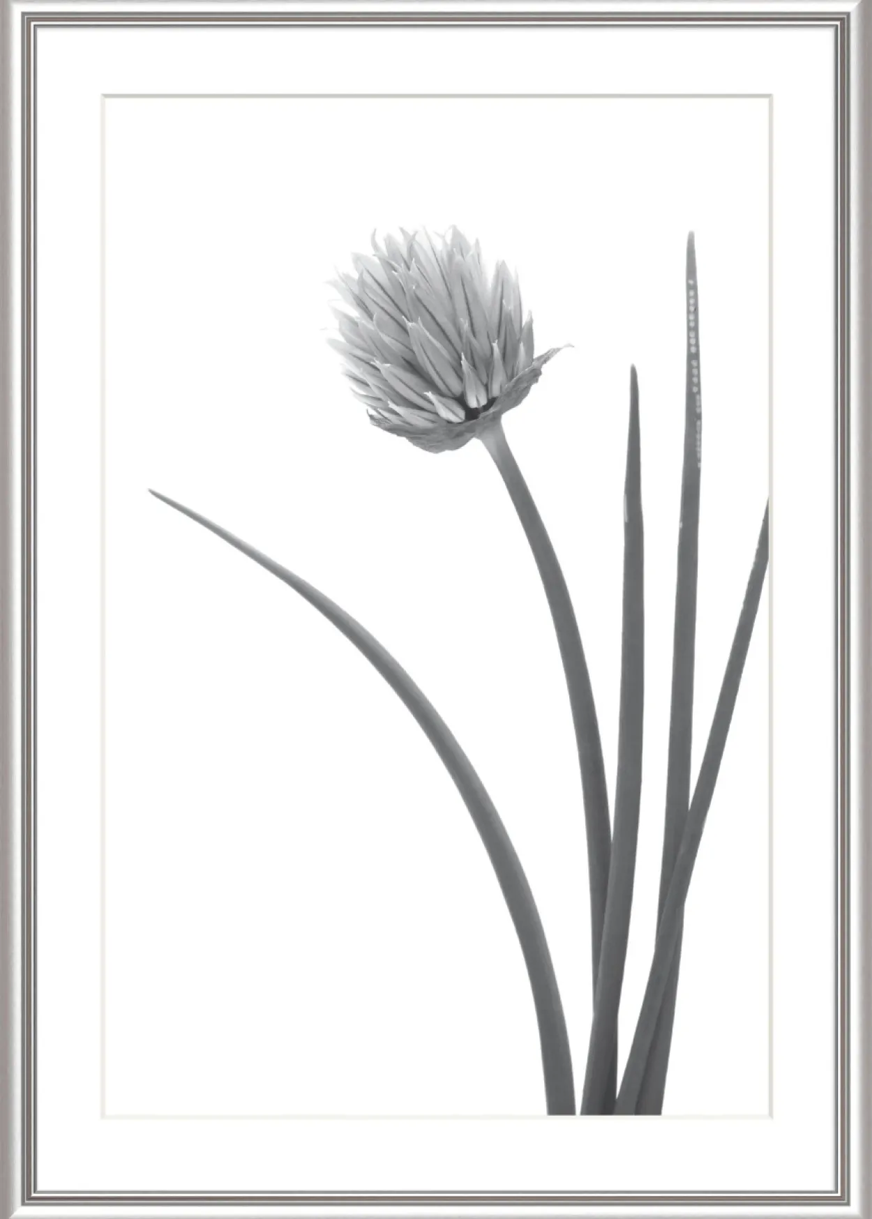Bilderrahmen ELEGANCE silber