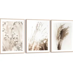 Bilder-Set BOTANIC NATURAL