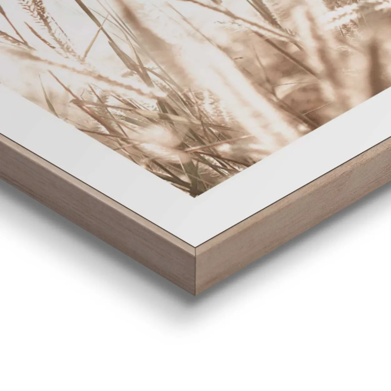 Bilder-Set BOTANIC NATURAL