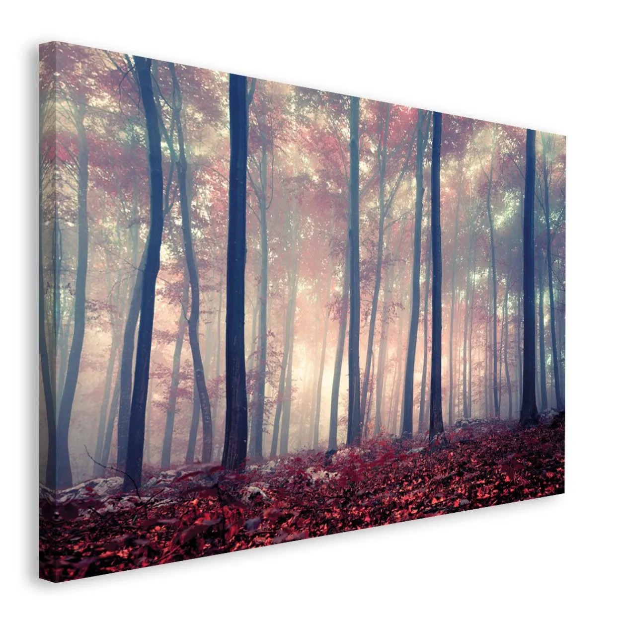 Bild FOREST