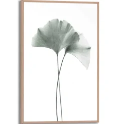 Bild GINKGO