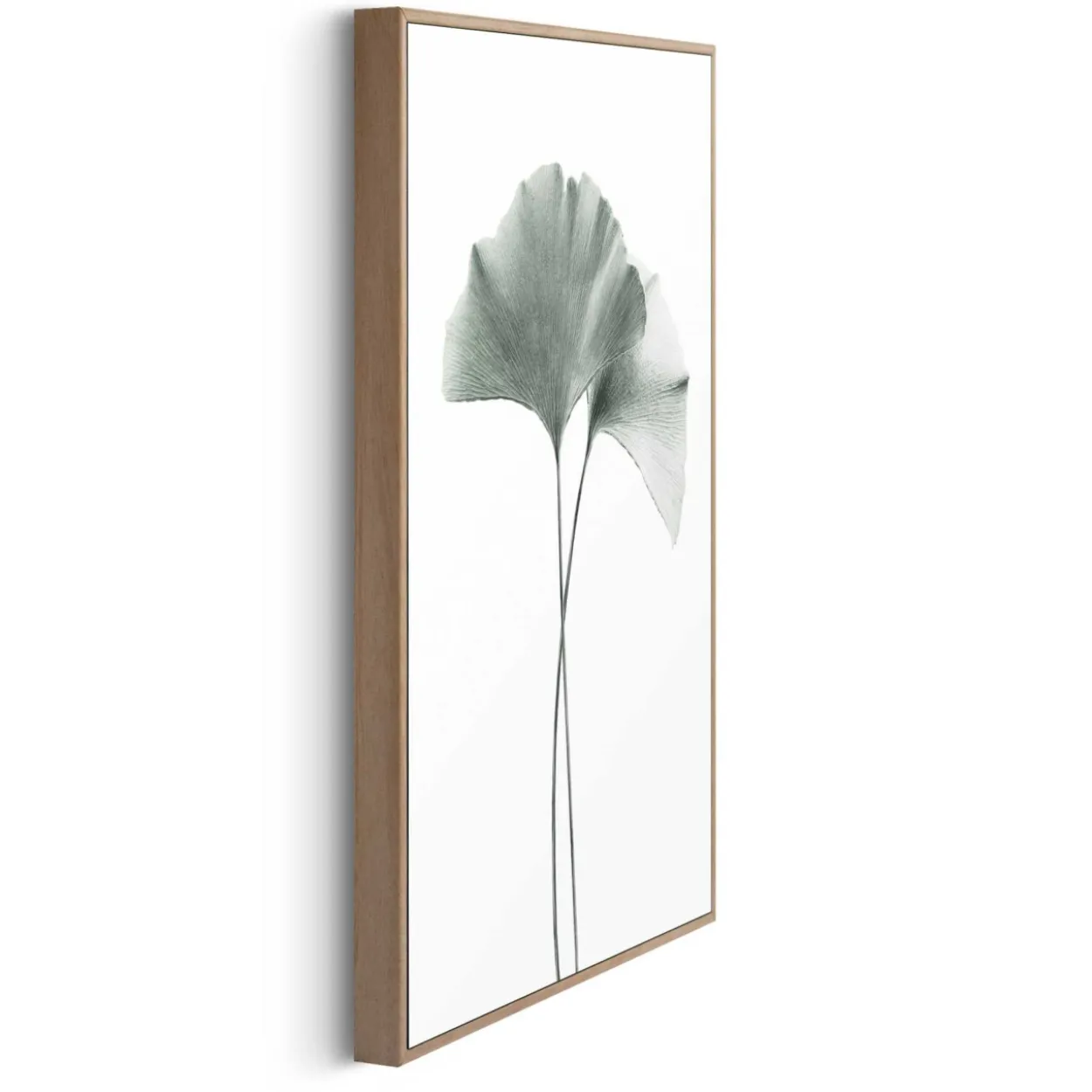 Bild GINKGO