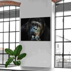 Bild GORILLA