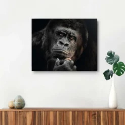 Bild GORILLA THINKING