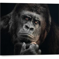 Bild GORILLA THINKING
