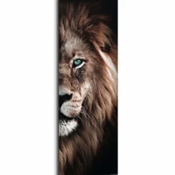 Bild HALF LION