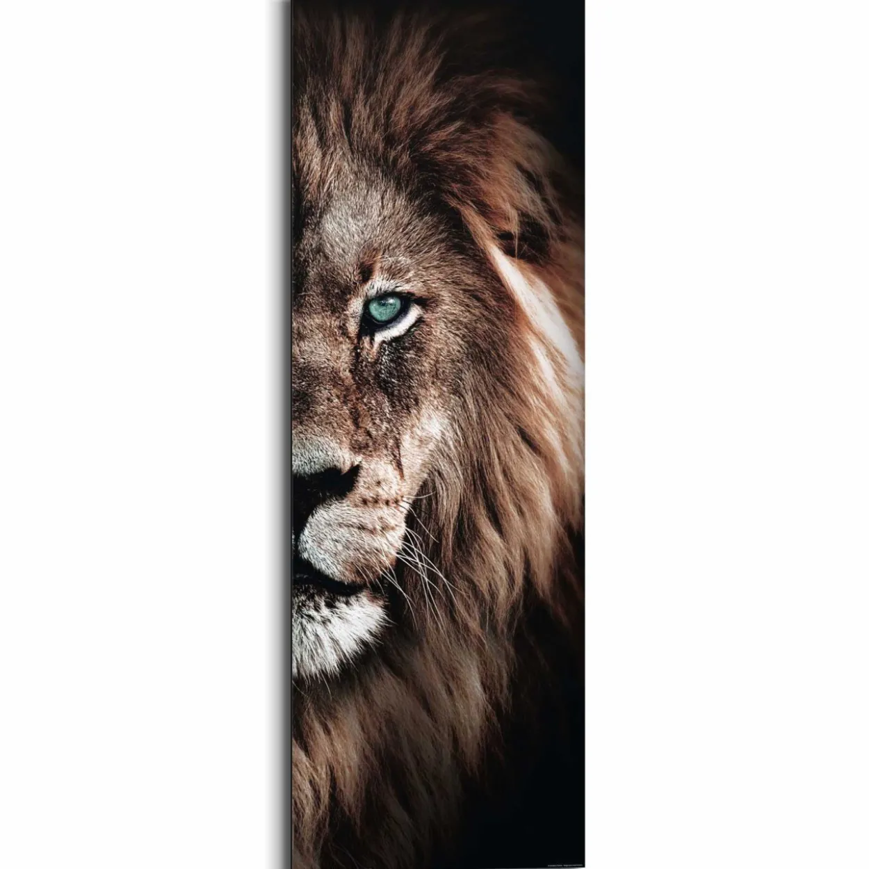 Bild HALF LION