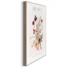 Bild HERBARIUM