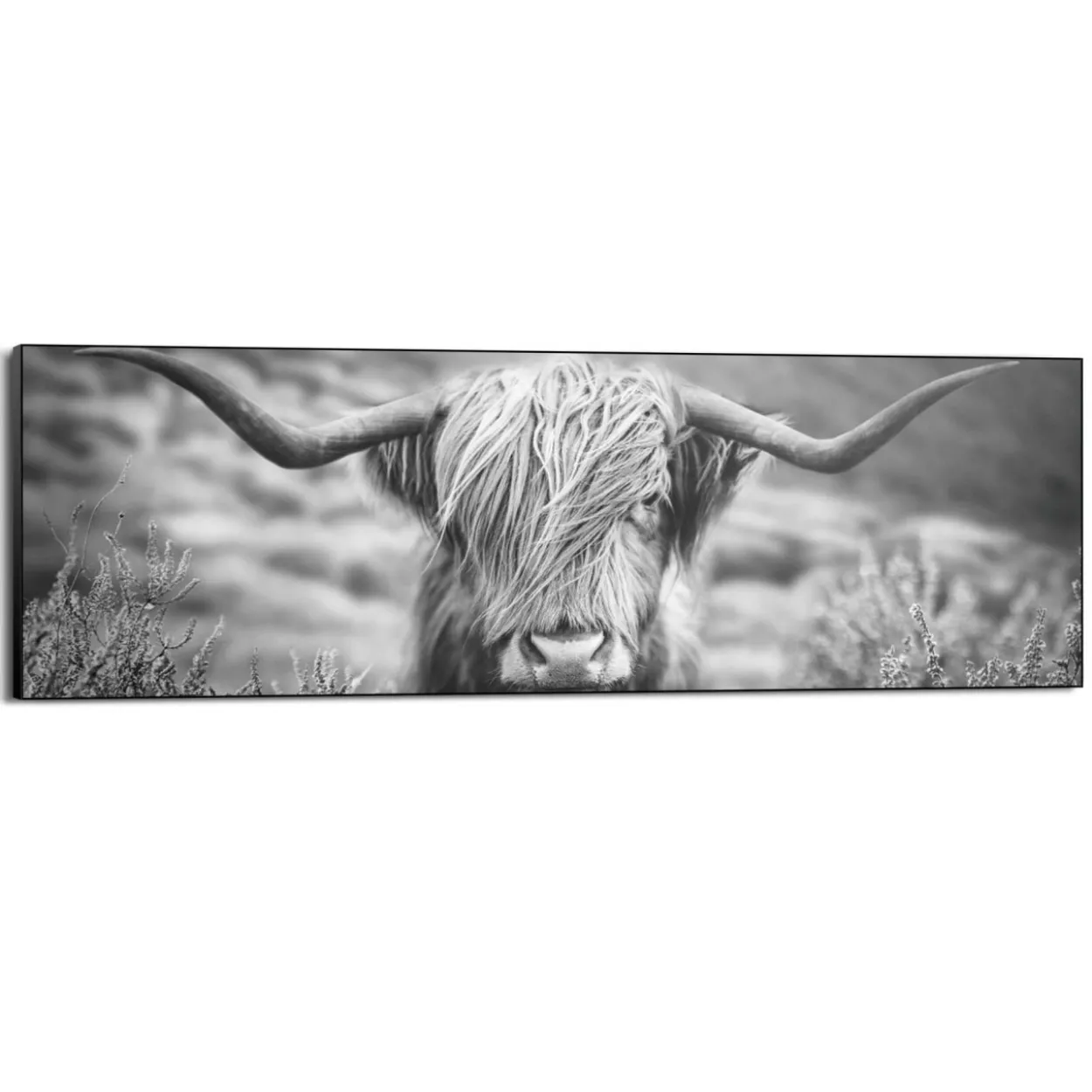 Bild HIGHLANDER