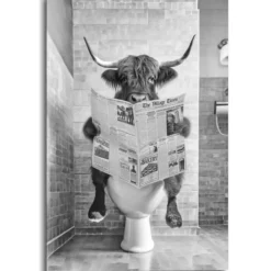 Bild HIGHLANDER