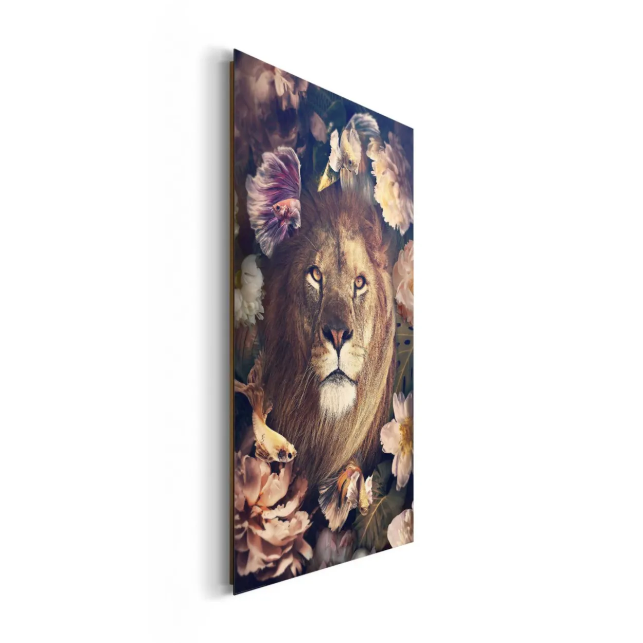 Bild JUNGLE LION