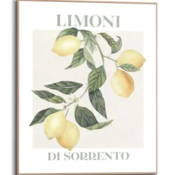 Bild LIMONI