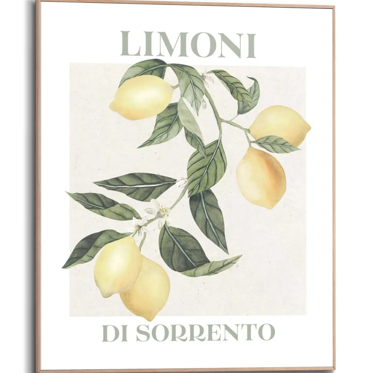 Bild LIMONI