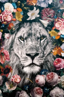 Bild LION FLOWERS