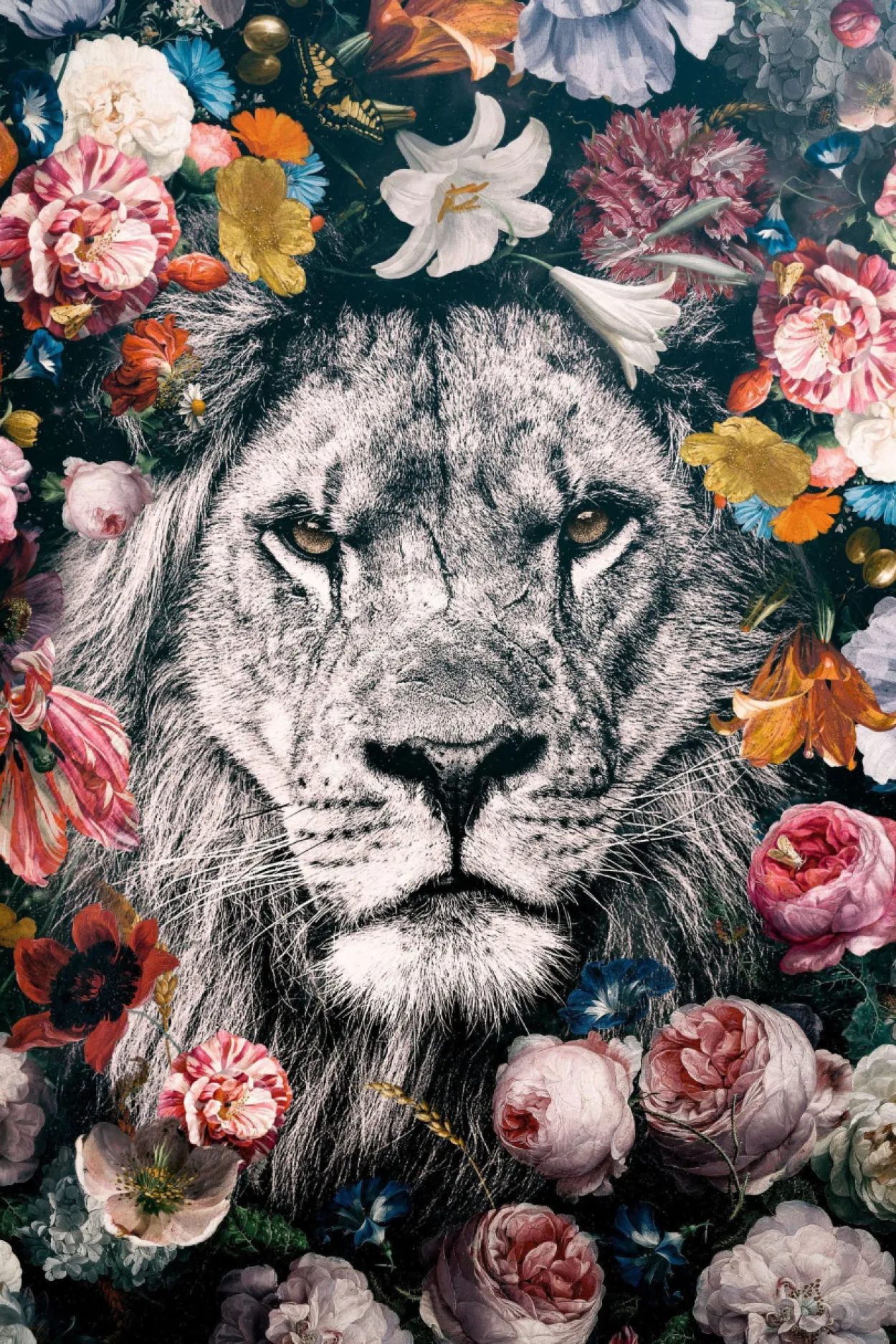 Bild LION FLOWERS
