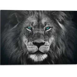 Bild LIONS FACE