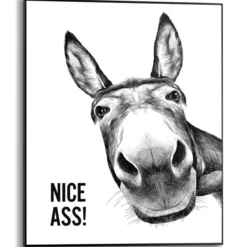 Bild NICE ASS