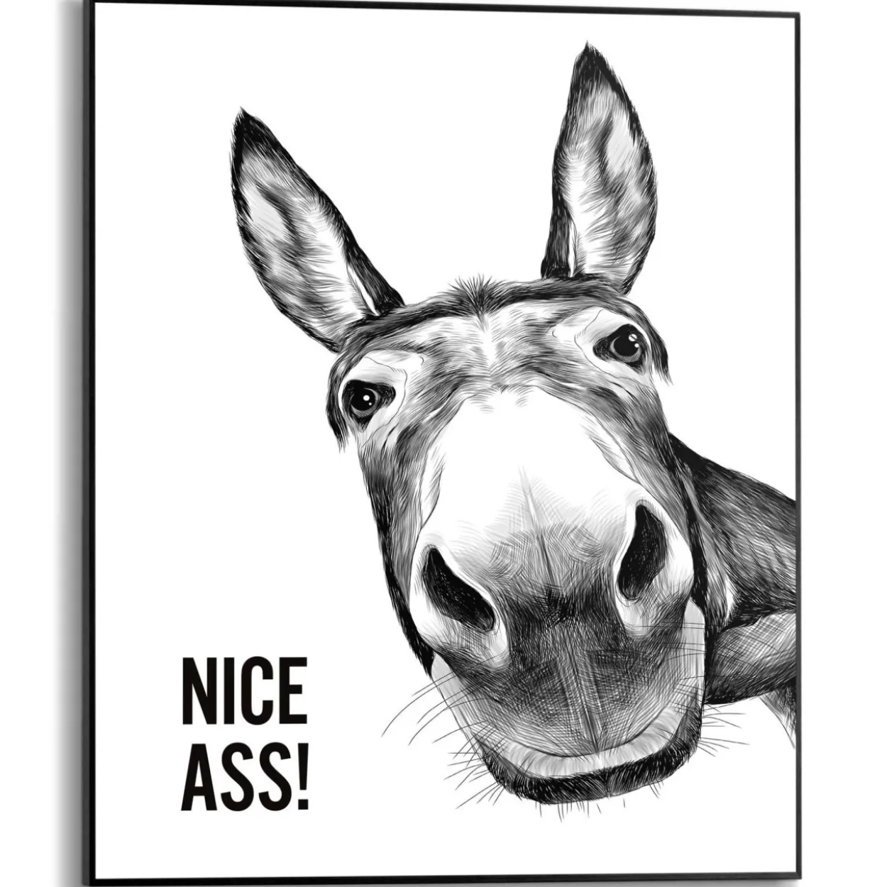 Bild NICE ASS